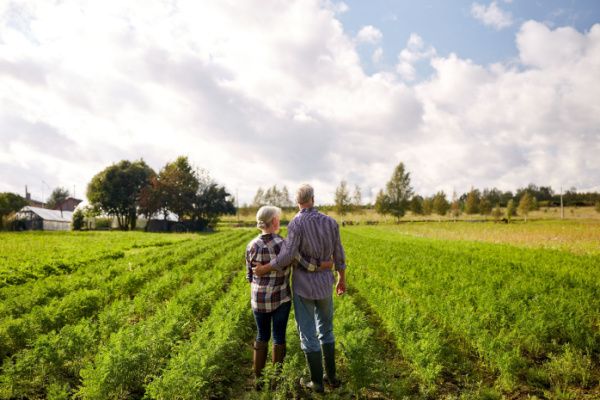 Retraite des non-salariés agricoles : bientôt un nouveau mode de calcul !