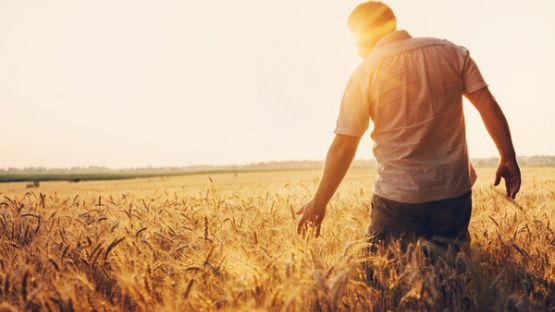 Agriculteurs : du nouveau concernant vos prestations sociales !