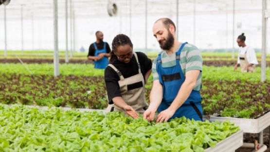 Loi Egalim 3 : de nouvelles évolutions en faveur des agriculteurs