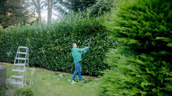 Pièces détachées et pièces de rechange : du neuf... et du moins neuf !