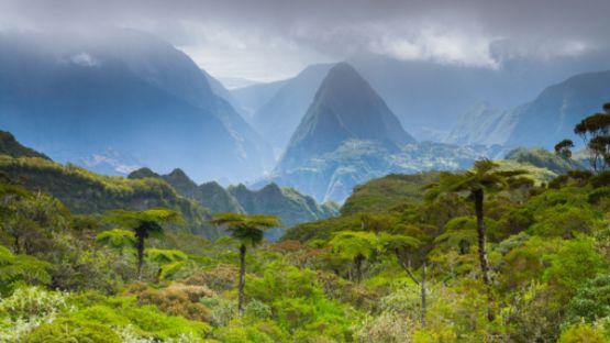 Sensibilisation des travailleurs aux risques naturels majeurs en outre-mer : une nouvelle formation