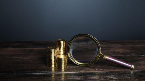 Finances publiques : la chasse à la fraude est ouverte !