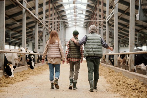 Surcroît d’activité : avez-vous pensé à « l’entraide familiale » ?