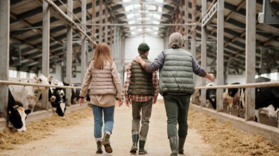 Surcroît d’activité : avez-vous pensé à « l’entraide familiale » ?