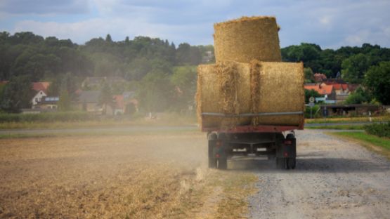 Bail rural et indemnité d’amélioration en fin de contrat : des précisions du juge
